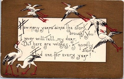 1910s How Many Years Since the Stork Brought You Birthday Poem Postcard