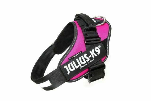 pink julius k9 harness