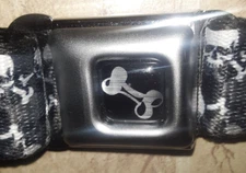 SKULL & CROSS BONES BUCKLE DOWN DOG COLLAR M MED 11" - 16.5" NECK NWT RARE L@@K