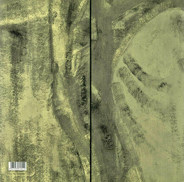 NURSE WITH WOUND An Awkward Pause 2LP Vinyl LIMITED EDITION Grey Wax Foto 2 de 4