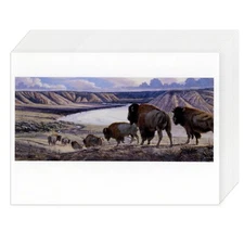 LOT OF 20 LARRY ZABEL Notecards + Envelopes — Lewis & Clark at Cow Creek Buffalo