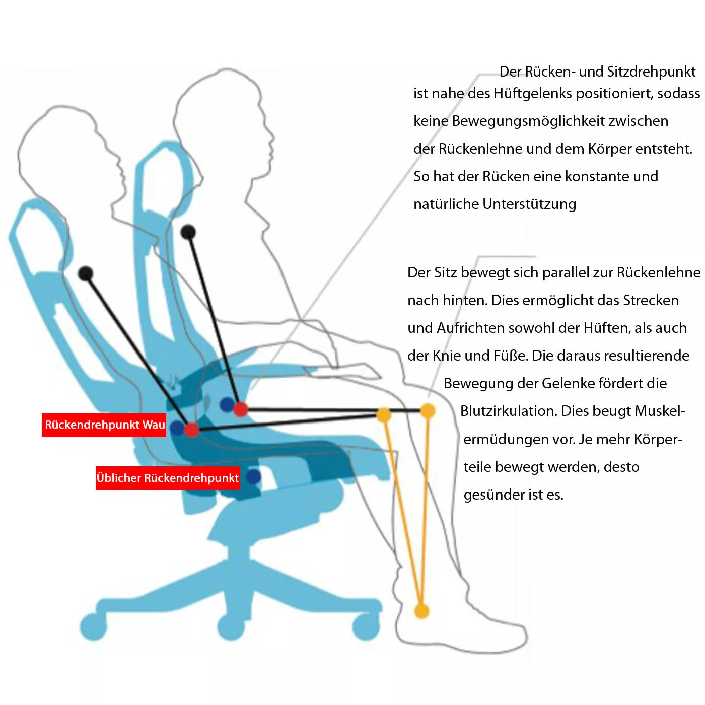 Merryfair wau 2024 chair price