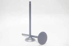 Safety Auto Parts Exhaust Valve Item #VX25-289