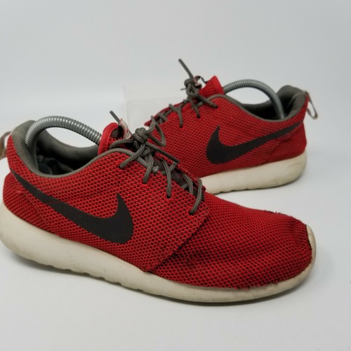 nike mesh roshe