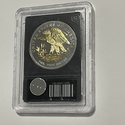 1879 Schoolgirl Morgan 24k Gold Gilded Coin 1 Troy Oz .999 Fine
