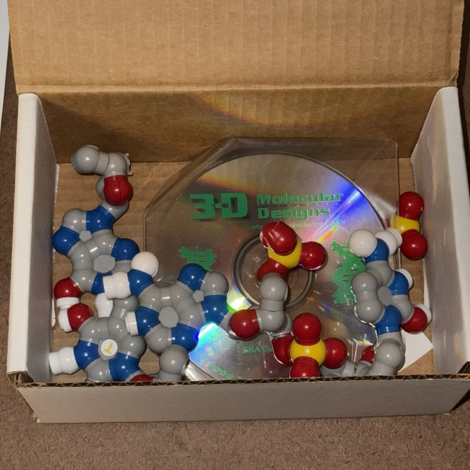 3D Molecular Designs The DNA Discovery Kit - 2 Pares Base Modelo Molécula Ciencia - Imagen 2 de 4