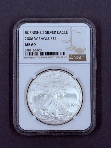 2006 W American Silver Eagle NGC MS69 First Year Burnished