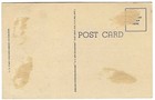 2 Vintage Postcards: Any Day Is Fish Day and They Don't Go For My Line — photo 2