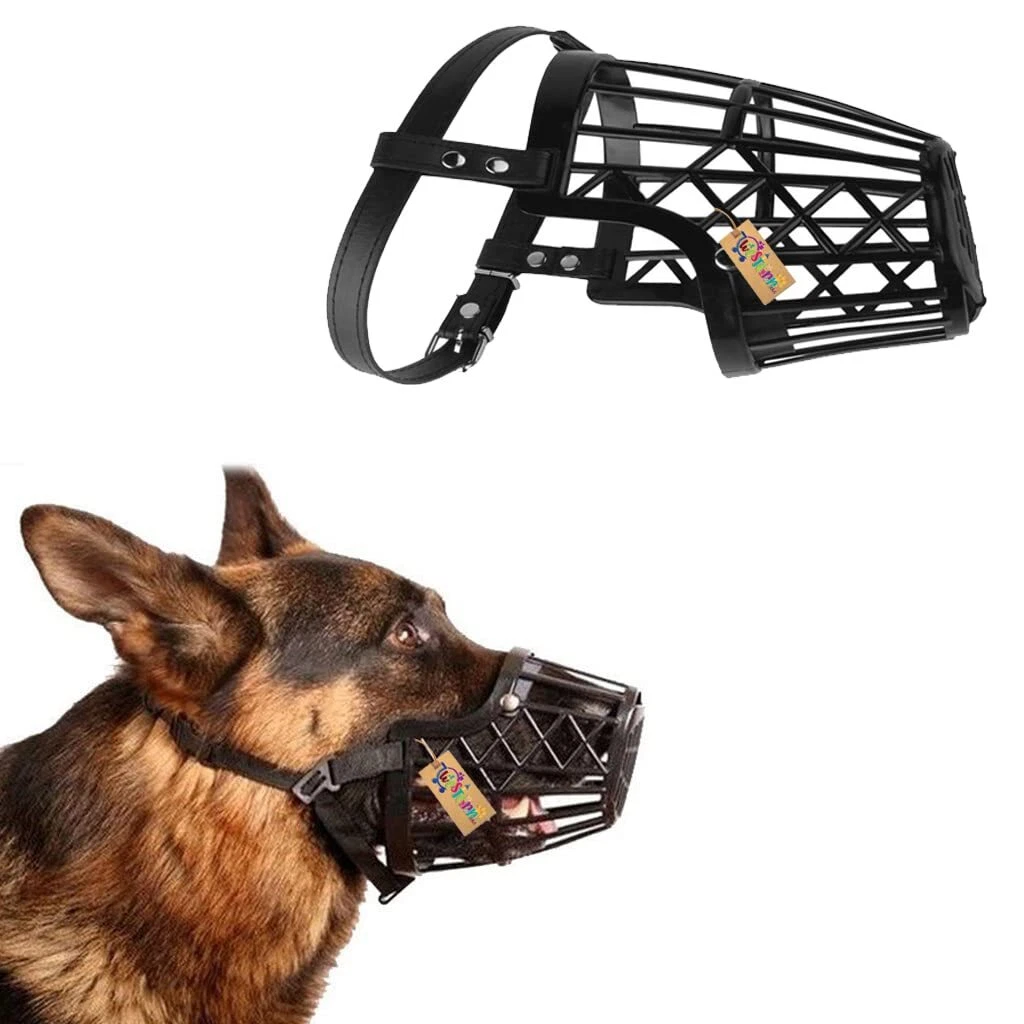 Strap muzzle 2025