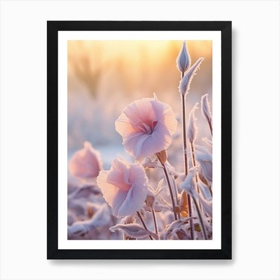 Frosty Botanical Morning Glory 2 Ar gerahmtes Wandbild Poster Leinwanddruck Bild