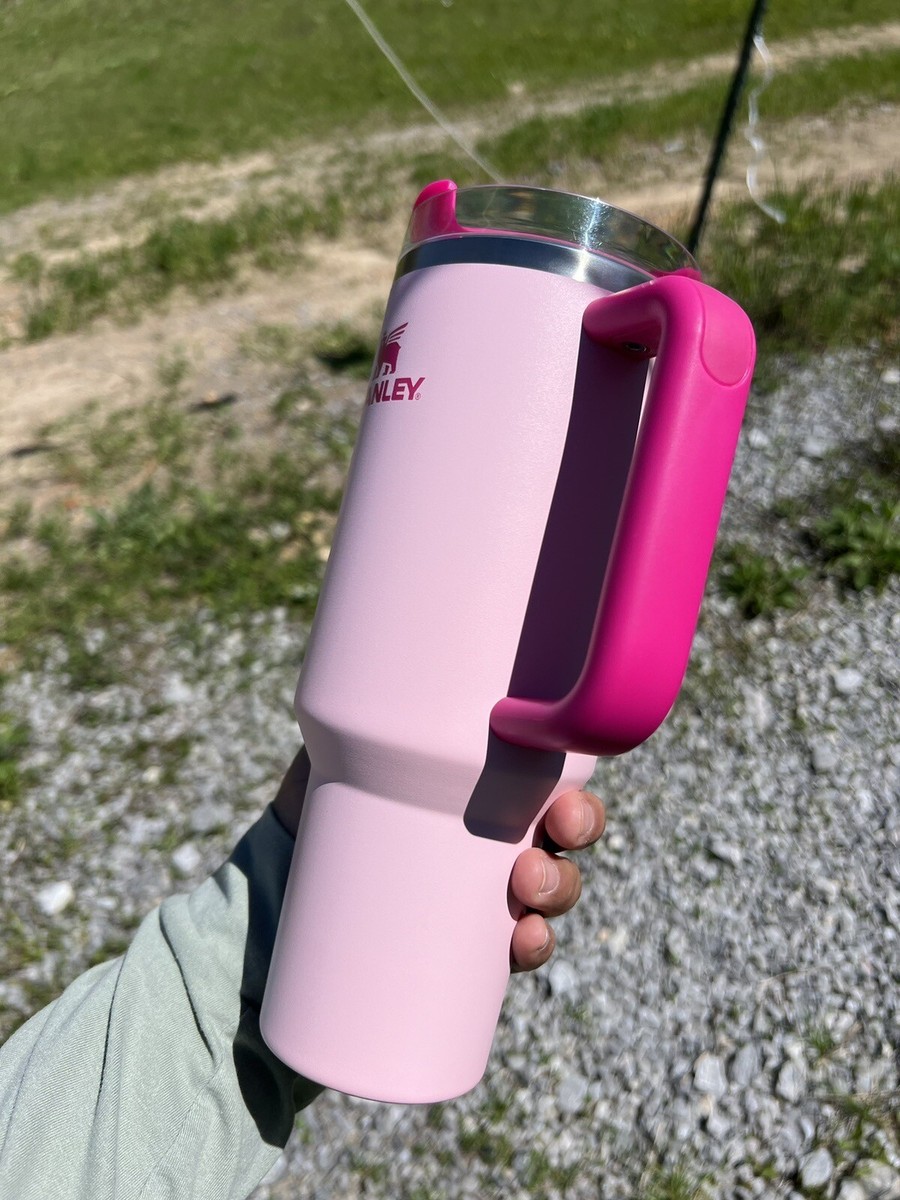 LIMITED EDITION Flamingo Stanley 40 oz Stainless Steel Tumbler | eBay