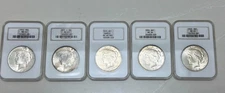 NGC OLD FATTY OH PEACE, DOLLAR COLLECTION W/ Sample Slab 🔥 (5)