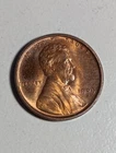 1909 VDB Lincoln Wheat Cent Penny EF-Details  Actual Coin Pictured Luster M5K10