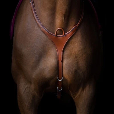 Utzon Equestrian Vorderzeug GRAND PRIX - Bild 1 von 2