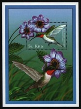 St. Kitts 2001 - Mi-Nr. Block 27 ** - MNH - Vögel / Birds