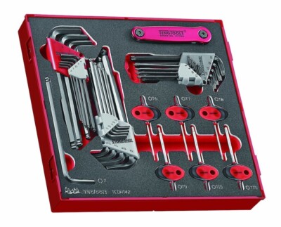 Teng TEDHT42 42 Stück Kugelschreiber Sechskant & Torx Schlüssel Set in EVA-Schaumstoffeinlage & Koffer
