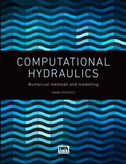 Computational Hydraulics by Ioana Popescu (Paperback Book)