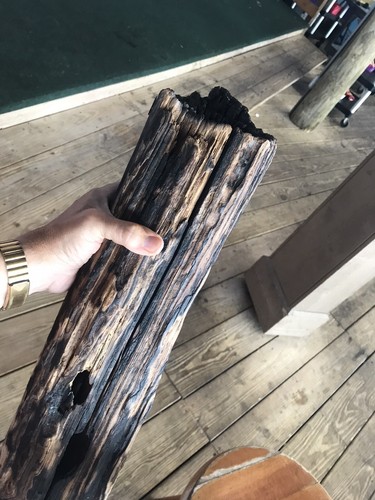 Antique 1600’s Shipwreck Wood Salvage St. Augustine Florida Coast Semi Petrified - Picture 3 of 18