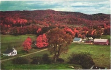 USA Picturesque Autumn Scene Fall Scenery Bird's Eye View Vintage Postcard