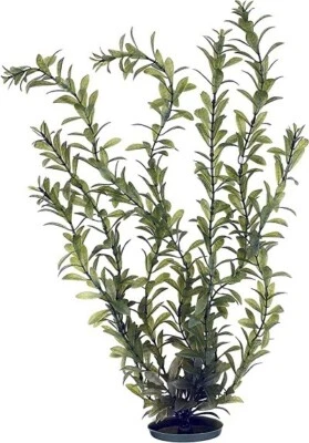 MARINA AQUASCAPER HYGROPHILA JUMBO - 20 INCH