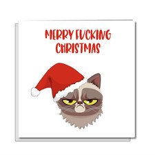 Funny Grumpy Cat Christmas Card Humbug Grinch Scrooge Dad Men Male Xmas Kitten