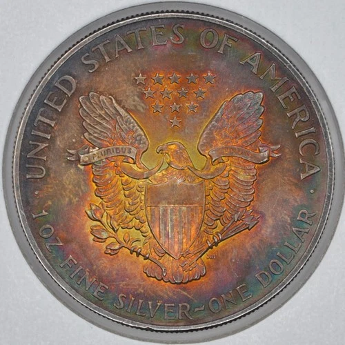 1991 $1 American Silver Eagle Uncirculated - Beautiful Dual Sided Toning G80