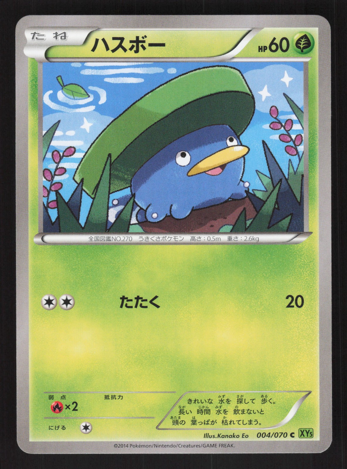 Lotad 004/070 Japanese Pokemon XY5 Tidal Storm