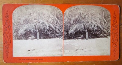 Stereoview 122 Goat Island Scenery-Winter George Curtis Niagara Falls New York