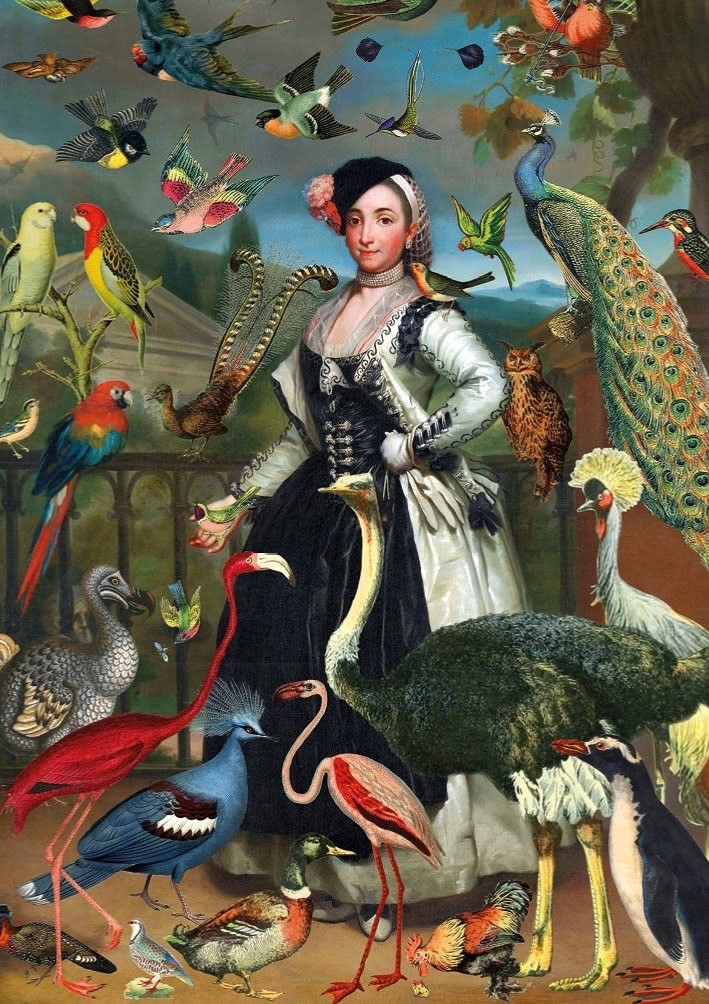 Exotic Birds - Art Blank Greeting / Birthday Card - Peacock Flamingo Maximalism