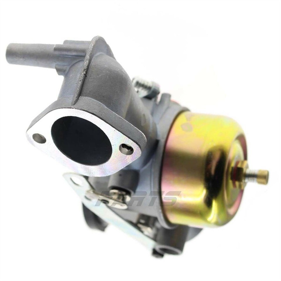 Carburateur De Rechange 491590 Avec Joints - Compatible Moteurs Série 191700, 192700, 193700, 390811, 392152