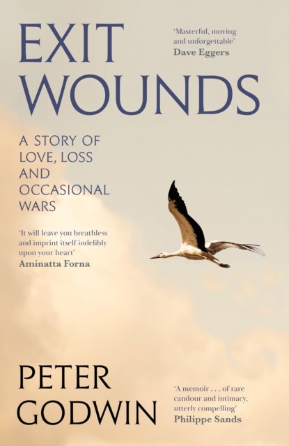 Exit Wounds by Peter Godwin (Hardback Book)