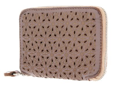 CATERINA LUCCHI Modena Diva Zip Around Wallet Geldbörse Mauve Toni Beige Neu