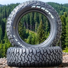 2 Arroyo Tamarock Rt 29570r17 128125q E 10 Ply Light Truck Tires