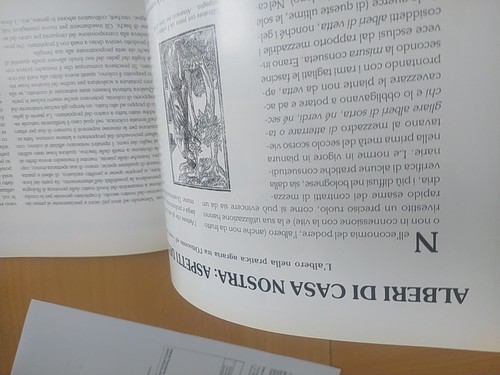 IL LIBRO DEGLI ALBERI RICONOSCERE PIANTARE CURARE ALBERI NOSTRANI FOTOGRAFICO - Foto 13 di 16
