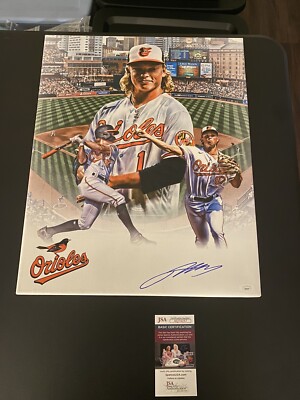 Jackson Holliday 直筆サイン入りボール JACKSON HOLLIDAY SIGNED BALTIMORE ORIOLES 16x20 Canvas Autograph