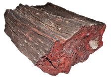 Love the Red Petrified Wood from Northeastern AZ Chinle Formation