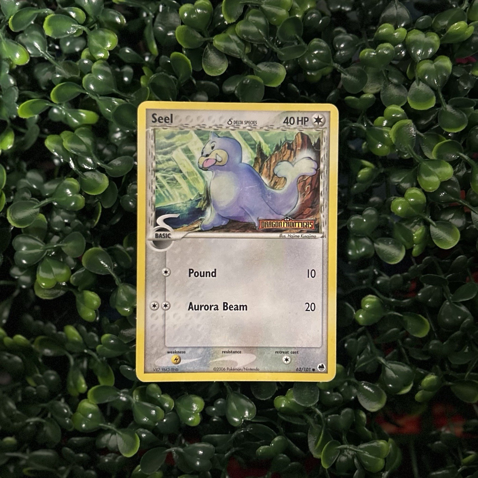 Seel (Delta Species) - 62/101 - Pokemon Dragon Frontiers Reverse Holo LP