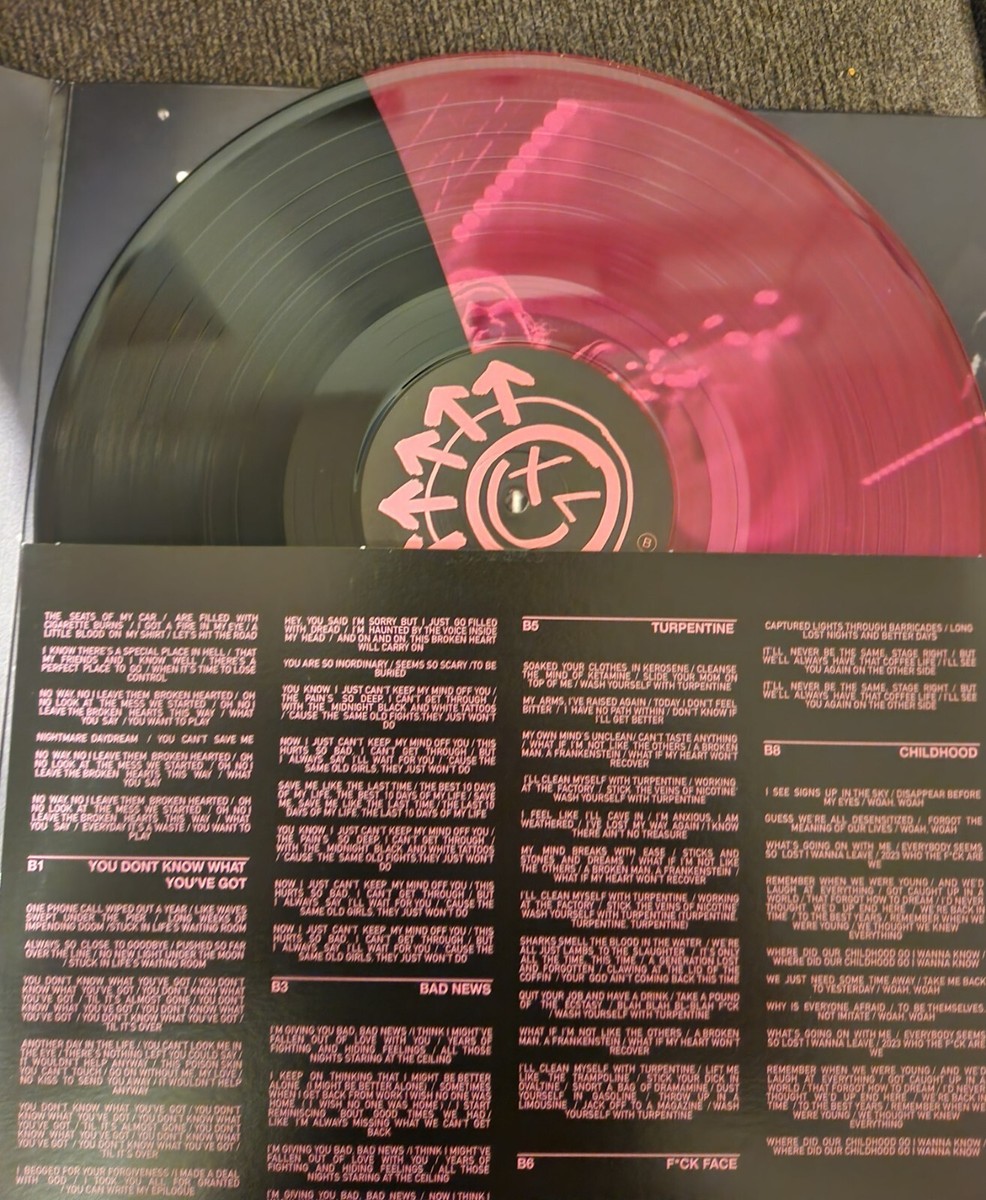 Blink 182 One More Time Pink & Black Vinyl LP Lenticular /5000 | eBay