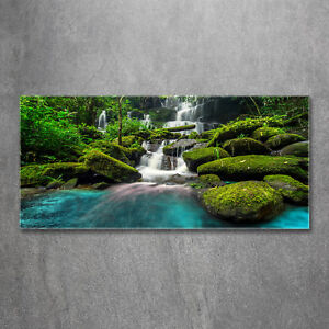 Glas-Bild Wandbilder Druck auf Glas 120x60 Deko Landschaften Wasserfall