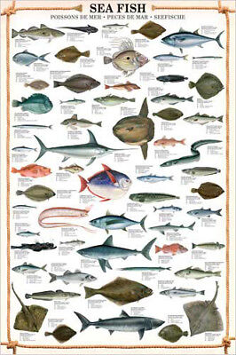 Fish Chart