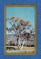 Vintage NEWSAGENTS Swap Playing Cards -  1 NEWSAGENCY SWAP CARD - A29