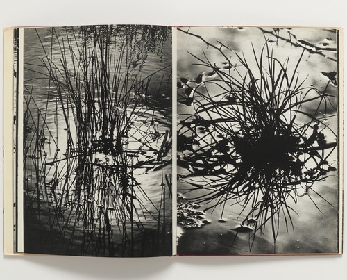 Camargue Secrete INSCRIBED by LUCIAN CLERGUE - Pierre Belfond, 1976 - Picture 3 of 3
