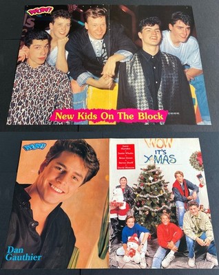 New Kids on the Block NKOTB Brian Austin Green DAN GAUTHIER Clipping A3 Poster