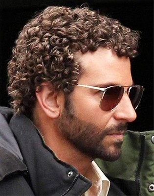 Swiking Mens Brown Afro Curly Wig For Male Guy Rocker Wig California Halloween C