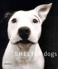 Shelter Dogs