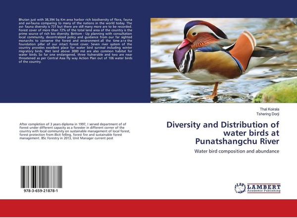Diversity And Distribution Of Water Birds At Punatshangchu River Tshering Dorji-image