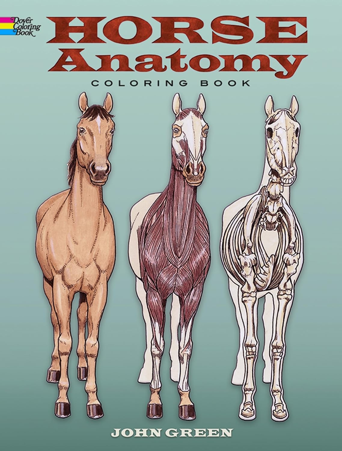 Horse Anatomy Coloring Book (Dover Nature Coloring Book) - Image 6