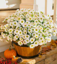 Artificial Daisy Flowers for Outdoors 6 Bundles UV Resistant Fake Mums for Home