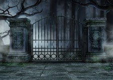 10x8ft Gothic Graveyard Gate old Withered Trees Photo Background Vinyl Backdrop
