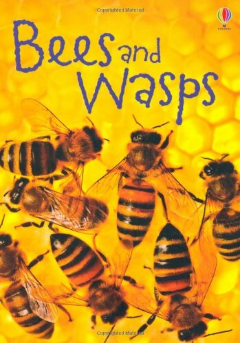Bees & Wasps (Usborne Beginners)-James Maclaine,John Francis
